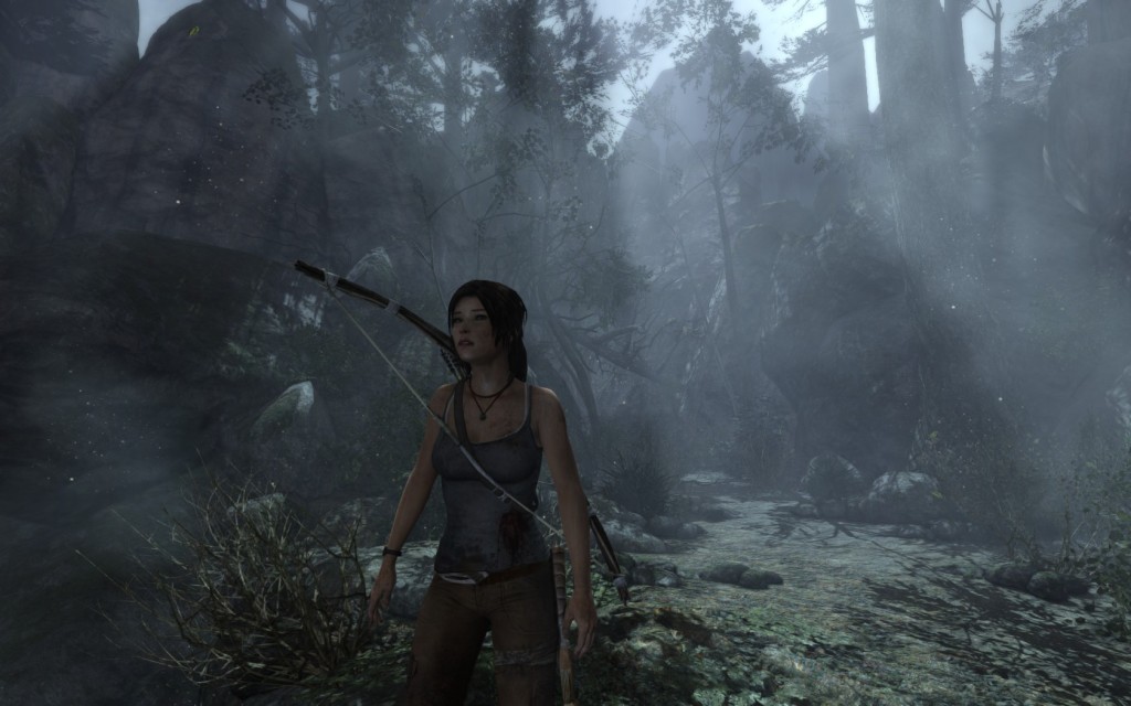 Tomb Raider 2013