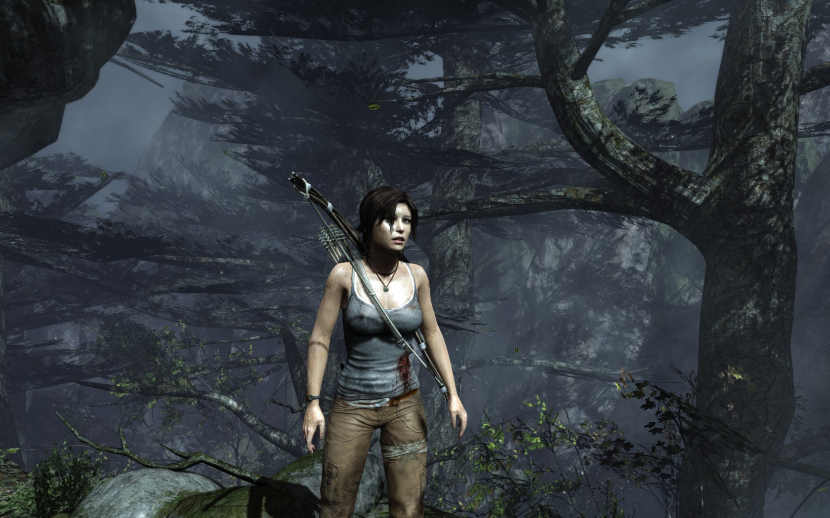 Игра том р. Томб Райдер 2013. Tomb Raider 2013 года. Tomb Raider (игра, 2013).
